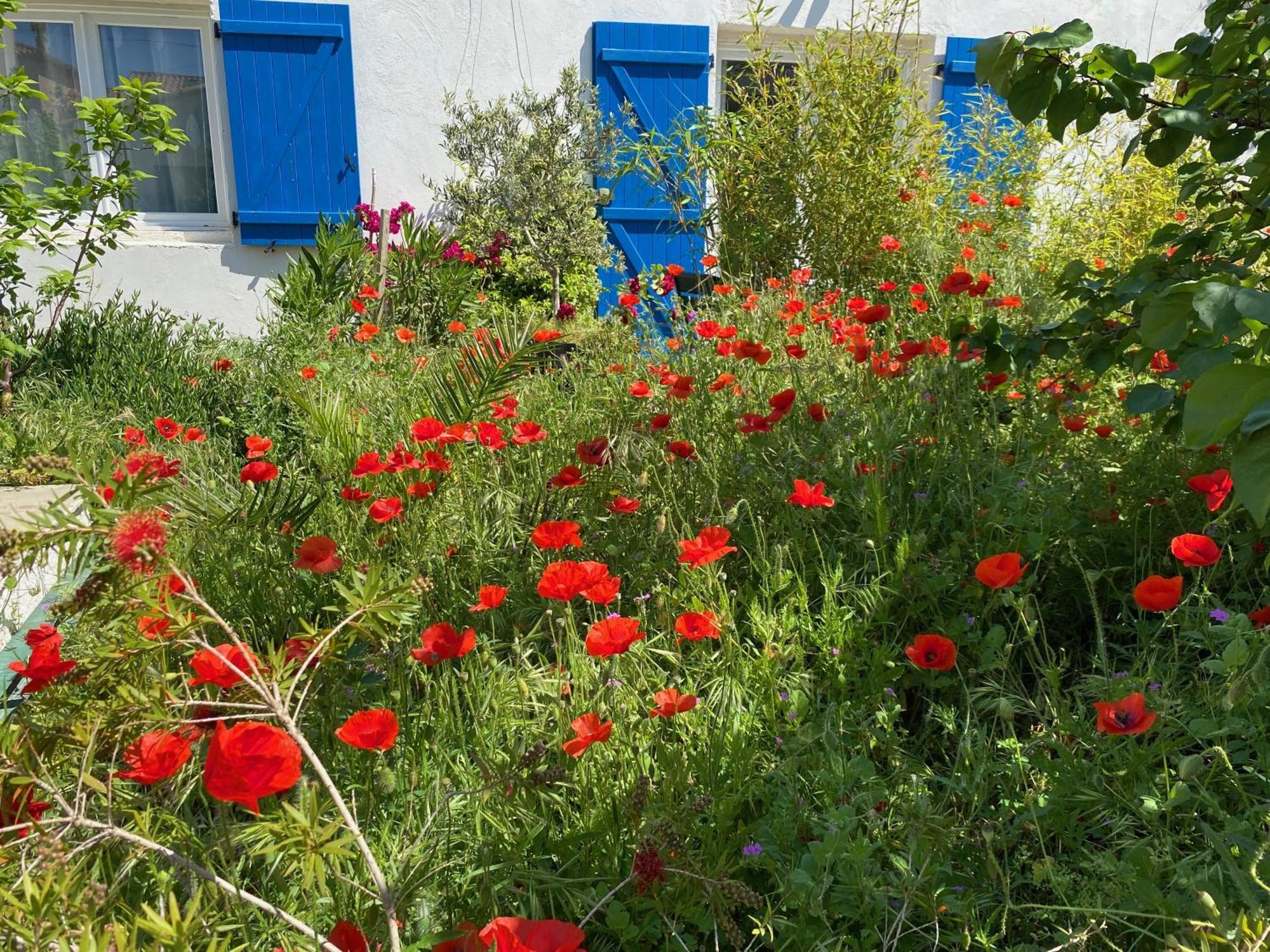 Maisonnette De Jardin Marseille