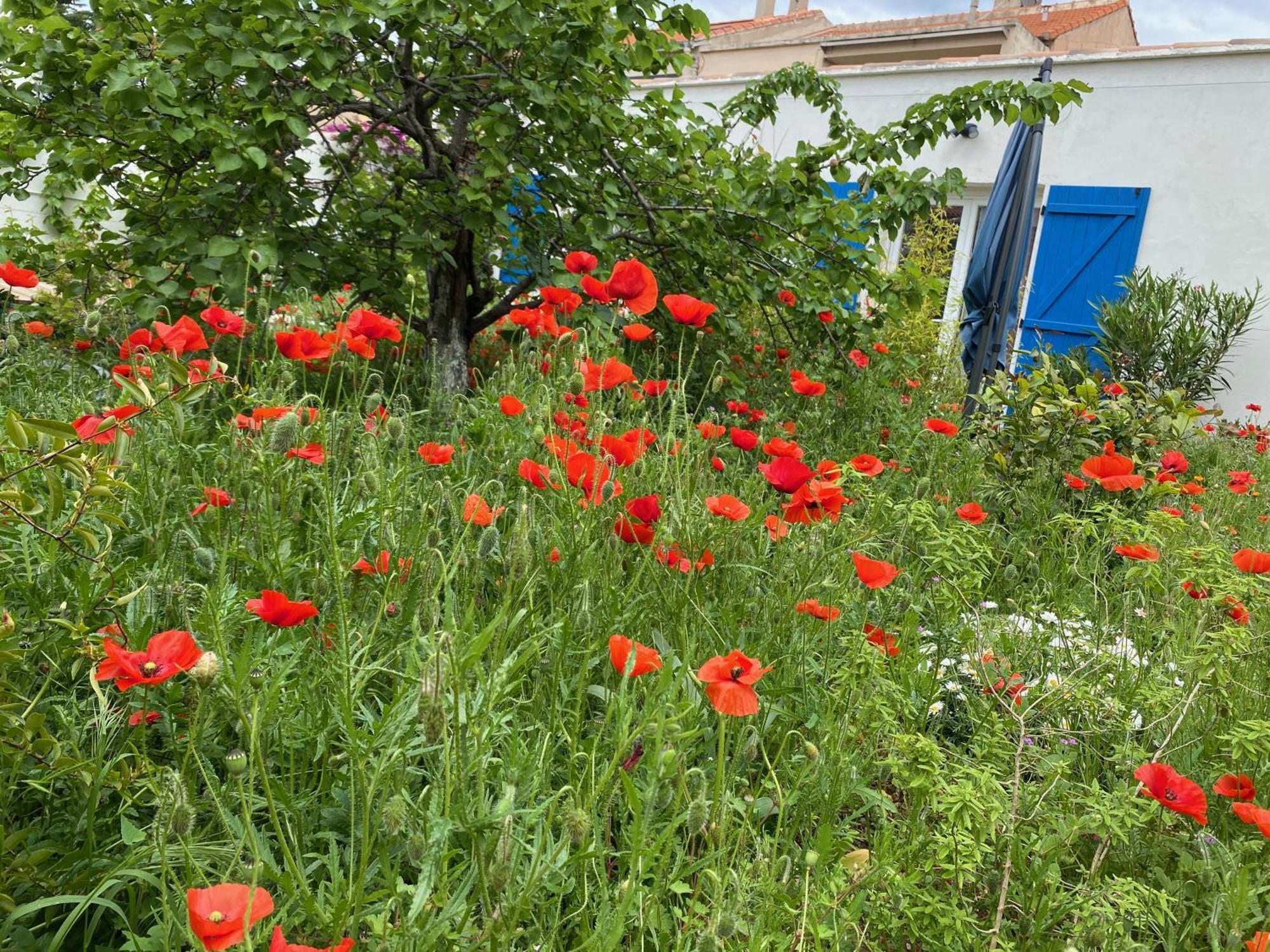 Apartment Maisonnette De Jardin