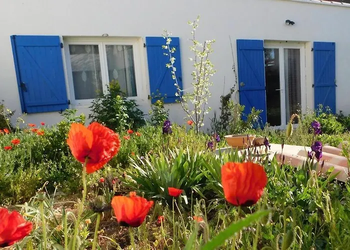 Maisonnette De Jardin