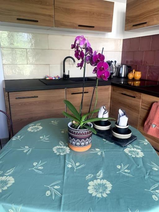 Maisonnette De Jardin Apartment *