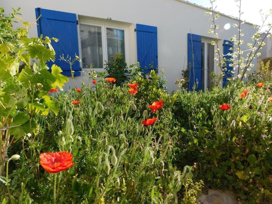 Maisonnette De Jardin Apartment