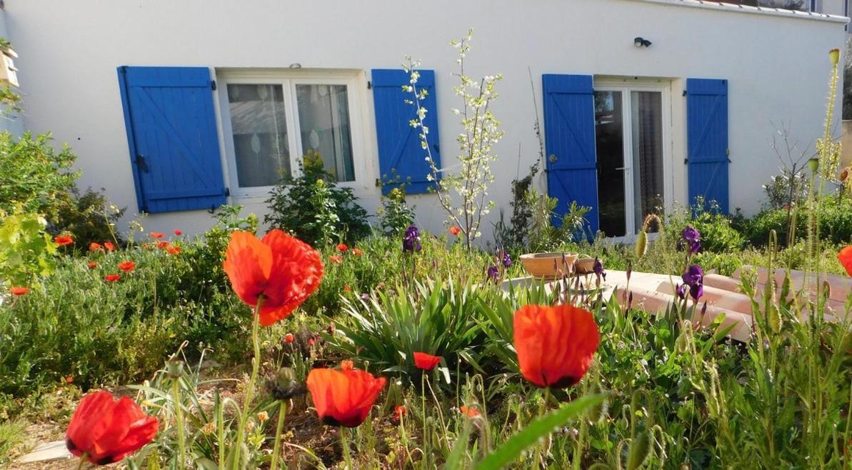 Appartement Maisonnette De Jardin *