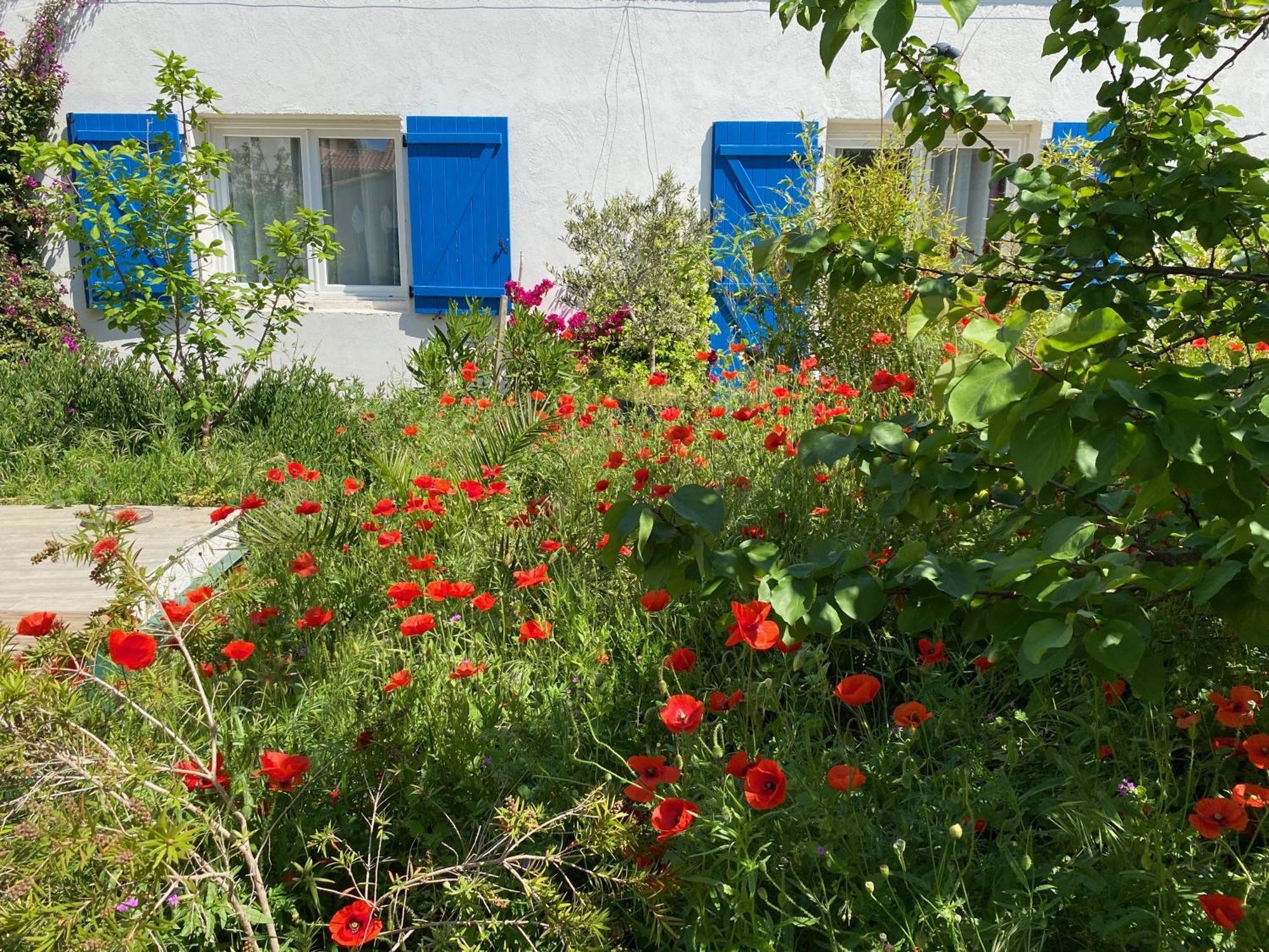 Maisonnette De Jardin Marseille